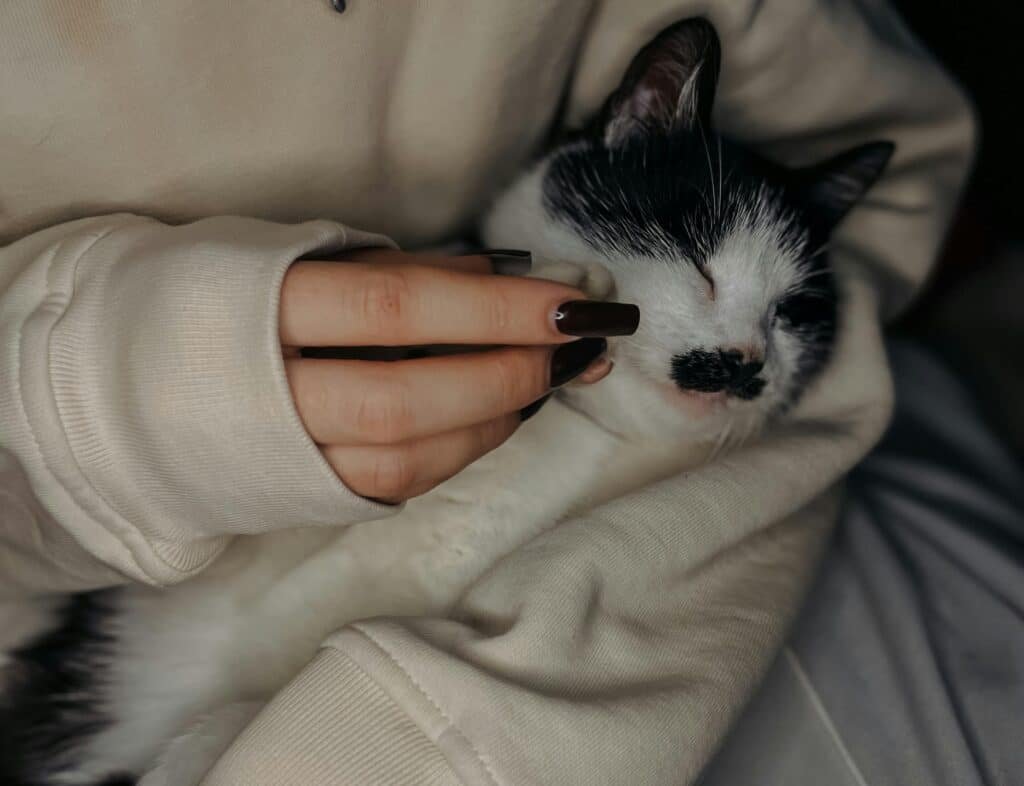 They’re Bored and Need Stimulation