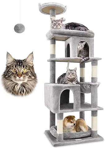 Globlazer Heavy Duty Cat Trees for Large Cats, Sturdy 72in Maine Coon Cat Tree for Large Cats 20 lbs