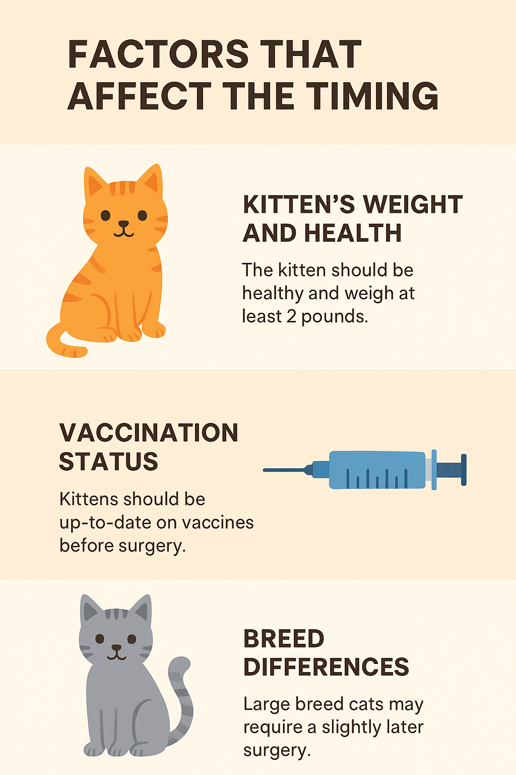 Factors That Affect the Timing of Spaying or Neutering Your Kitten