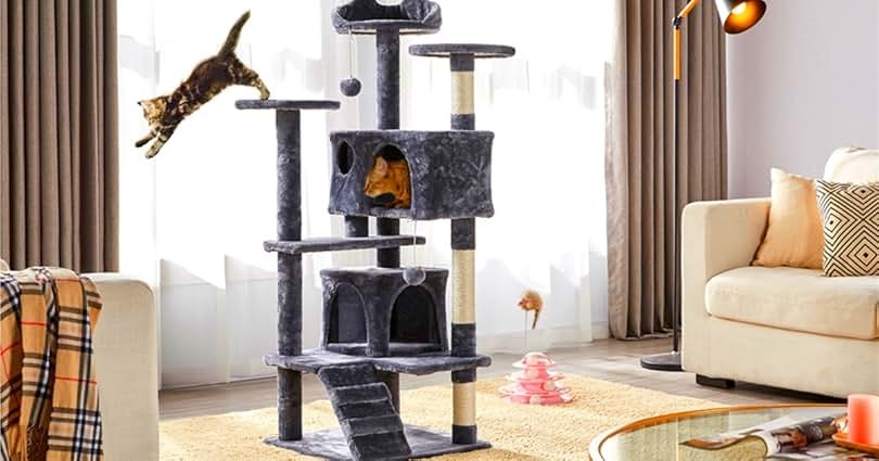 Cat Trees for Large Cats